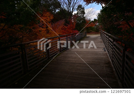 Autumn leaves and negative image 121697501