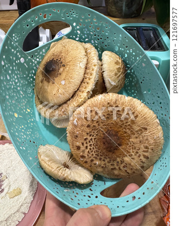 Basket with mushrooms with umbrellas. Hats of mushrooms. Basket with mushrooms with umbrellas. Hats of mushrooms. 121697577