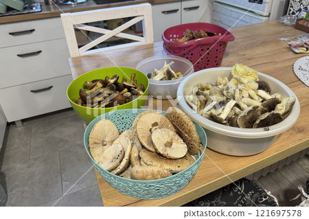 Clean and washed mushrooms in a dish. They are placed next to the stove for cooking. Mushrooms Tricholoma Portentosum and Macrolepiota procera.  121697578