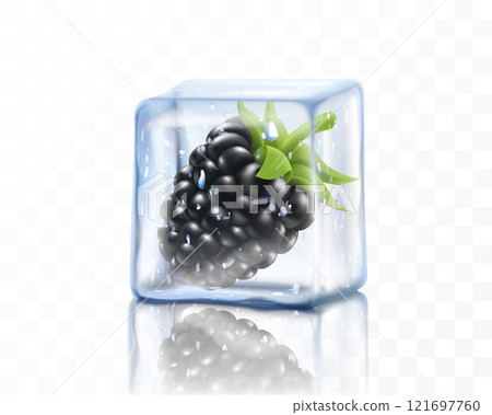 Fresh ripe blackberry in ice cube isolated on transparent background. Frozen blackberry, realistic 3d vector illustration 121697760