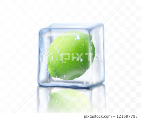 Fresh ripe lime whole in ice cube isolated on transparent background. Frozen lime, realistic 3d vector illustration Fresh ripe lime whole in ice cube isolated on transparent background. Frozen lime, realistic 3d vector illustration 121697785