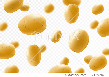 Flying potato. Falling potatoes whole isolated on transparent background, selective focus. Realistic 3d vector illustration 121697820