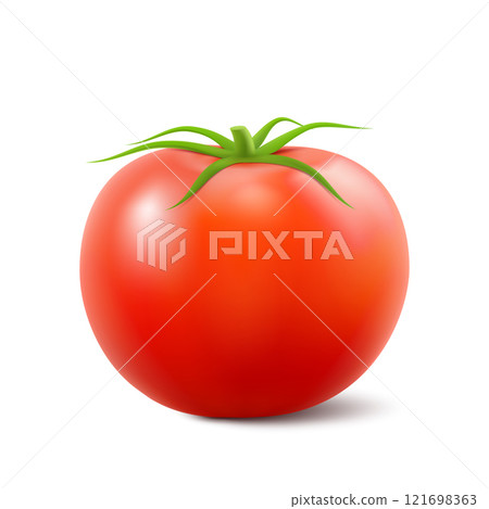 Red fresh tomato with green stem isolated on white background, side view, Print, template, design element for packaging. Realistic 3d vector illustration. Natural texture 121698363
