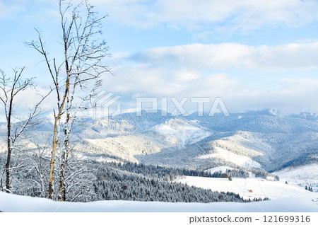 A winter landscape with a view of mountain peaks covered in snow-covered coniferous forests. 121699316