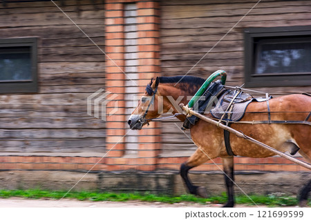 Red horse in a harness with a yoke, a shaft and an arc. 121699599