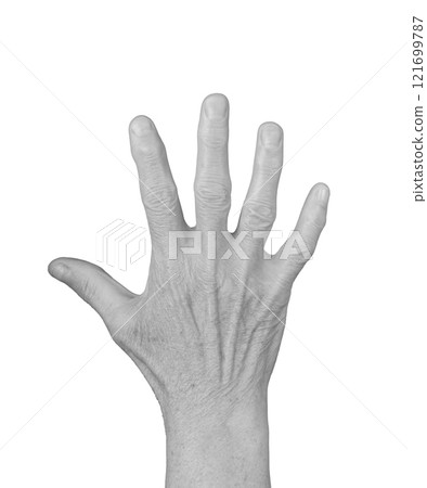 Open palm gesture. Senior woman s wrinkled hand with fingers spread wide and visible veins, Open palm gesture. Senior woman s wrinkled hand with fingers spread wide and visible veins, 121699787