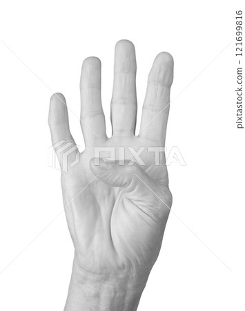 Four finger gesture. Senior woman s wrinkled hand raised with four fingers extended, including the Four finger gesture. Senior woman s wrinkled hand raised with four fingers extended, including the 121699816