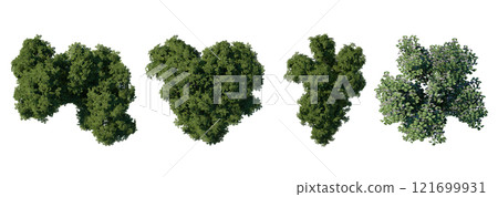 tree top view plant landscape architecture nature garden aerial render. trees branch isolate collection illustration environment green botany urban bush park. tree architecture conifer decorative. 121699931