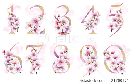 Watercolor and golden numbers with pink cherry flowers and buds, wedding sakura isolated element 121700175