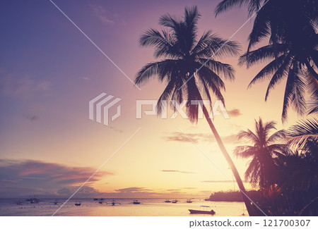 Beach with coconut palm tree silhouettes at sunset, color toning applied, Panglao Island, Philippines. 121700307