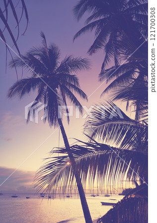 Beach with coconut palm tree silhouettes at sunset, color toning applied, Panglao Island, Philippines. 121700308