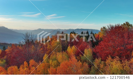 Aerial view of autumn forest in mountain 121700546