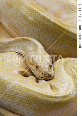 THAILAND RATCHABURI DAMNOEN SATUAK FLOATING MARKET THAILAND RATCHABURI DAMNOEN SATUAK FLOATING MARKET 121701121