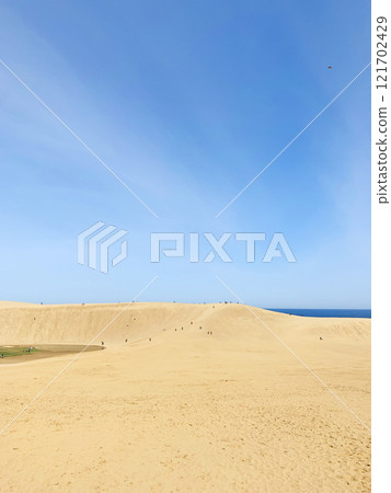 美麗的沙丘景觀 美麗的沙丘景觀 121702429