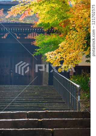Autumn leaves at the temple gate of Jyoshoji Temple [Okusa Village, Kiso District] 121702575