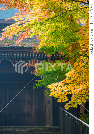 Autumn leaves at the temple gate of Jyoshoji Temple [Okusa Village, Kiso District] 121702576