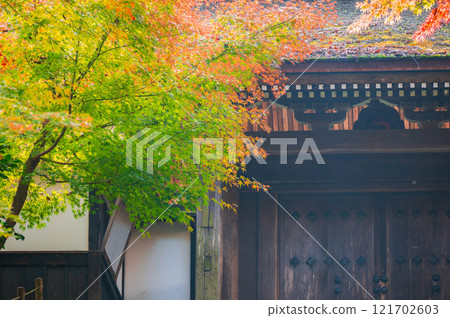 Autumn leaves at the temple gate of Jyoshoji Temple [Okusa Village, Kiso District] 121702603