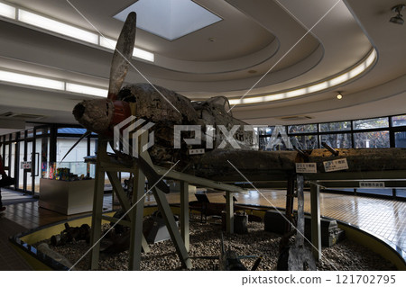 [鹿兒島/知覽]特攻和平館 121702795