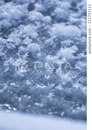 Frost that fell on the forest due to radiative cooling (around Onhara Kogen) Frost that fell on the forest due to radiative cooling (around Onhara Kogen) 121703111