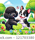 Toy poodle and French bulldog playing 121703380