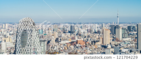 "Tokyo" View of Tokyo from the observation deck of the Tokyo Metropolitan Government Building 121704229