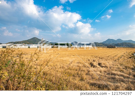 冬季田野景觀 121704297