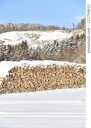 Photographing felled timber in Yakumo, Hokkaido in winter 121704622