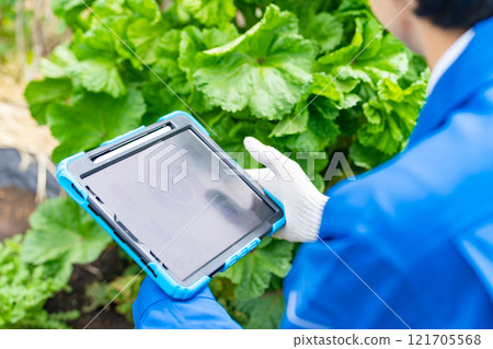 Farmer looking at a tablet in the field Agritech smart agriculture Farmer looking at a tablet in the field Agritech smart agriculture 121705568