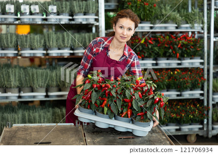 Adult woman holding capsicums in pots 121706934