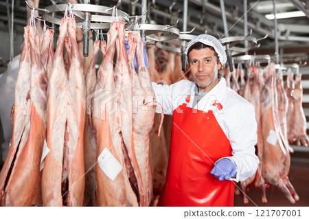 Male slaughterhouse worker showing mutton carcass in meat storage 121707001