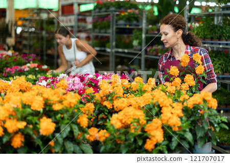 Adult female seller holding crossandra in pot Adult female seller holding crossandra in pot 121707017