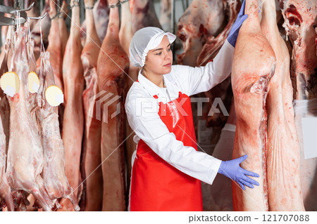 Female slaughterhouse worker looking at pig carcass in meat storage 121707088