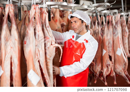 Male slaughterhouse worker inspecting mutton carcass in meat storage 121707098