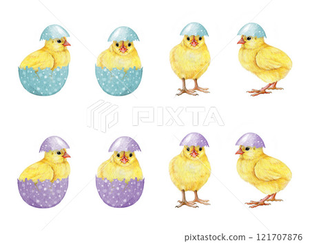 Cute funny yellow chicks Easter collection in pastel colored eggs on white background. Hand drawn vintage style illustration set. Perfect for Easter decor designs, spring decor and rustic-themed art 121707876
