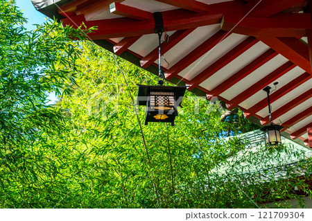 [Shizuoka Prefecture] The refreshing bamboo forest at Kinomiya Shrine in Atami City 121709304