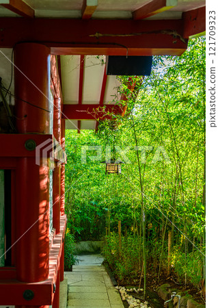 [Shizuoka Prefecture] The refreshing bamboo forest at Kinomiya Shrine in Atami City 121709323