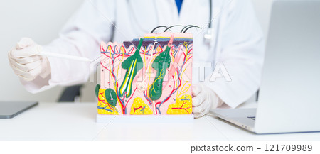 Dermatologist with anatomy model of human skin with hair. Doctor show structure of Skin, Skin disease and Hair loss. Health care, Dermatology treatment, Cosmetic surgery and Beauty consultation clinic 121709989