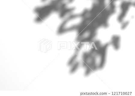 Tree branch shadow. Tree leaves shadow overlay. Summer sunlight trough the leaves. Nature organic shadow. Blurred Leaf shadow and light on wall background. 3d rendering 121710027