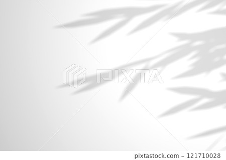 Willow branch shadow. Tree leaves shadow overlay. Sunlight trough the leaves. Nature organic shadow. Blurred Leaf shadow and light on wall background. 3d rendering 121710028
