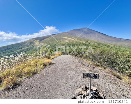 Mt. Asama seen from Mt. Ko-Asama in autumn 121710241