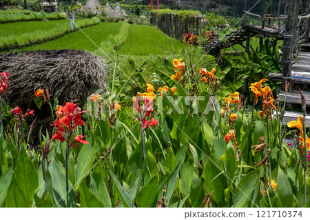 Bali, Indonesia - 2024: View of rural restaurant in Maha Gangga Valley. 121710374