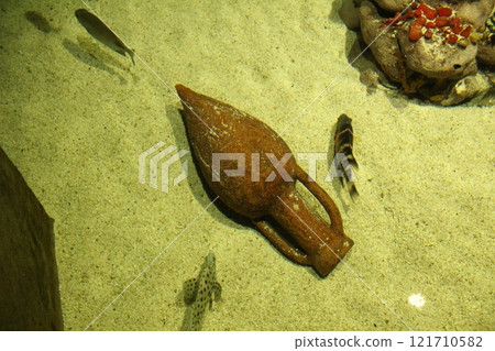 Amphora on the sand in the water. An ancient jug in an aquarium. Fossil 121710582