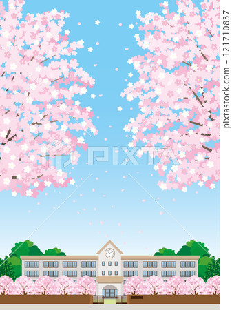 櫻花盛開的春季校舍的插圖 121710837