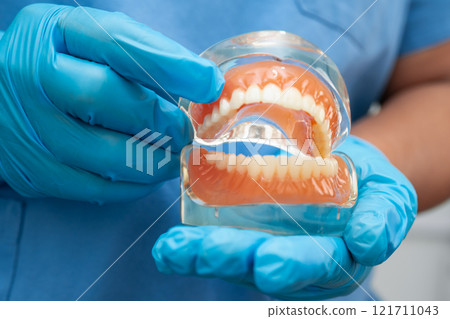 Asian dentist holding dental teeth model for learn about dentistry. 121711043