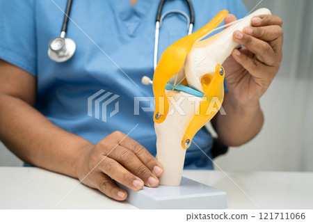 Asian doctor holding spinal nerve and bone model, Lumbar spine displaced herniated disc fragment for treatment medical in the orthopedic department. Asian doctor holding spinal nerve and bone model, Lumbar spine displaced herniated disc fragment for treatment medical in the orthopedic department. 121711066
