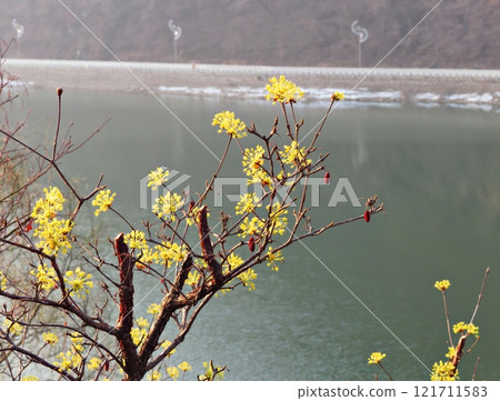 spring landscape of a river spring landscape of a river 121711583