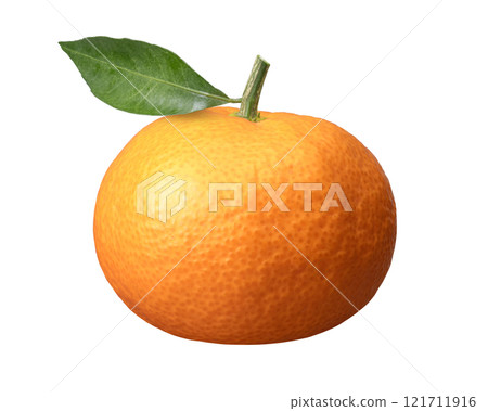 Mandarin orange Mandarin orange 121711916
