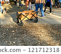 Carry carts are often used in parks. 121712318