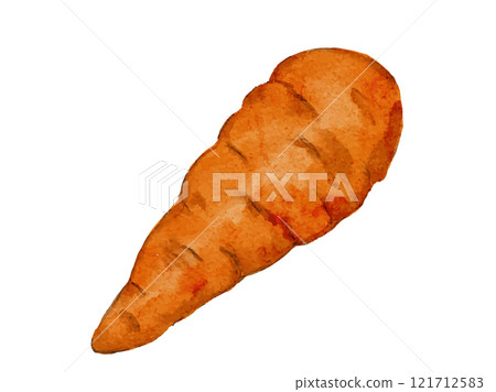 Watercolor vegetable carrot vector illustration 121712583