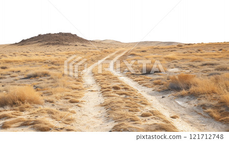 Road in the Desert 121712748